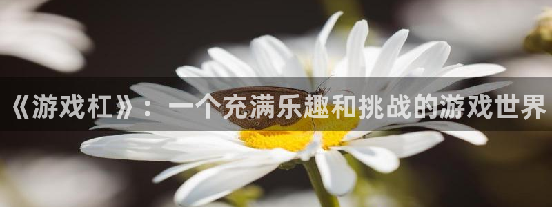奇亿娱乐平台官网注册：《游戏杠》：一个充满乐趣和挑战的游戏世
