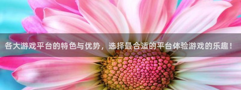 奇亿娱乐平台官方网站：各大游戏平台的特色与优势，选择最合适的