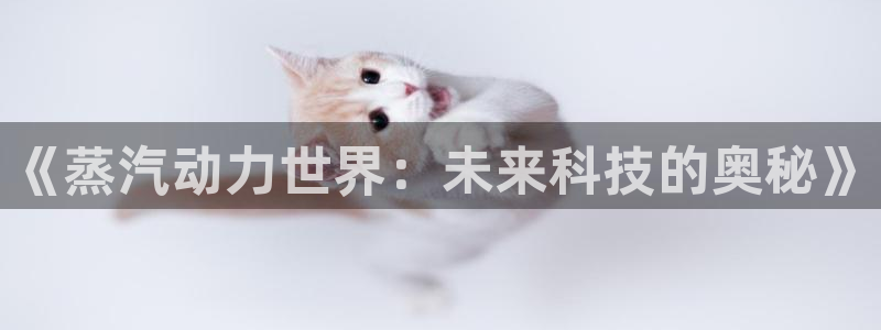 奇亿娱乐注册服务条款：《蒸汽动力世界：未来科技的奥秘》